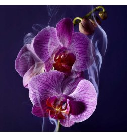La Nuit Trésor - Eau de Parfum La Nuit Trésor - Eau de Parfum